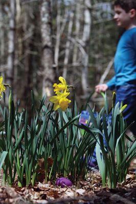 Sippican Lands Trust Easter Egg Hunt
The Sippican Lands Trust hosted another Easter egg hunt at its Peirson Woods property off Point Road on Sunday, April 14. It was a successful hunt for the dozen or so kids who found every single one of the 600 eggs hidden along the trail. Photos by Jean Perry
