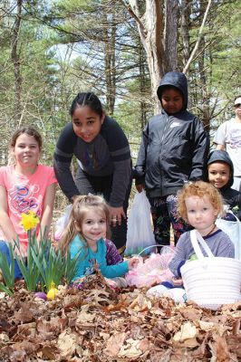 Sippican Lands Trust Easter Egg Hunt
The Sippican Lands Trust hosted another Easter egg hunt at its Peirson Woods property off Point Road on Sunday, April 14. It was a successful hunt for the dozen or so kids who found every single one of the 600 eggs hidden along the trail. Photos by Jean Perry - April 18, 2019 edition
