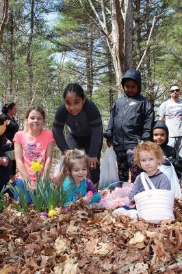 Sippican Lands Trust Easter Egg Hunt
The Sippican Lands Trust hosted another Easter egg hunt at its Peirson Woods property off Point Road on Sunday, April 14. It was a successful hunt for the dozen or so kids who found every single one of the 600 eggs hidden along the trail. Photos by Jean Perry
