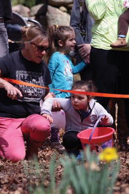 Sippican Lands Trust Easter Egg Hunt
The Sippican Lands Trust hosted another Easter egg hunt at its Peirson Woods property off Point Road on Sunday, April 14. It was a successful hunt for the dozen or so kids who found every single one of the 600 eggs hidden along the trail. Photos by Jean Perry
