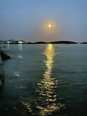 Harvest Moon
The harvest moon rising over Strawberry Point in Mattapoisett is a reminder that the days have become shorter, the children are back in school, football games and marching bands are making signature sounds and the summer is suddenly on short notice. Photo courtesy of Faith Ball
