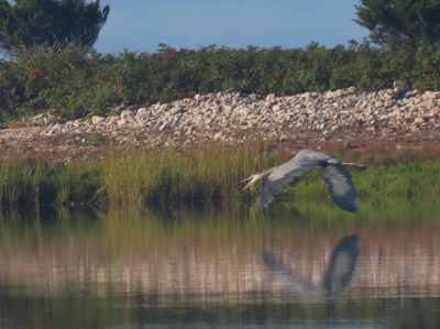 Mattapoisett
Photo by Faith Ball
