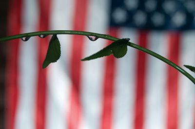 4th of July
A Happy Independence Day from everyone at The Wanderer. Photo by Felix Perez.
