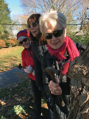 Marion Tree Committee
Members of the Marion Tree Committee and Marion Garden Group joined forces on November 26 to place identification plates on trees planted by the town. The plates were provided by the Garden Group. From left: Karilon Grainger, Suzy Taylor and Sylvia Strand. Photos by Marilou Newell
