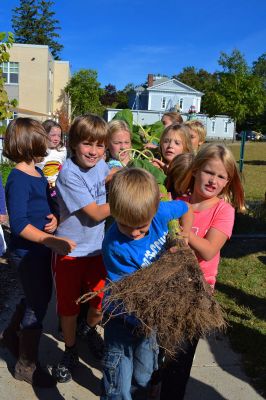 Sippican School Garden Club
Members of the Sippican School Garden Club have been busy this harvest season caring for their vegetables, herbs, and flowers after school. On September 23 it took ten enthusiastic little gardeners to pull up a ten-foot tall sunflower and carry it to “Weed Mountain.” After, the kids collected greens, grasses, and flowers to make an arrangement for the main office. Photo by Jean Perry
