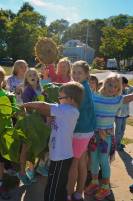 Sippican School Garden Club
Members of the Sippican School Garden Club have been busy this harvest season caring for their vegetables, herbs, and flowers after school. On September 23 it took ten enthusiastic little gardeners to pull up a ten-foot tall sunflower and carry it to “Weed Mountain.” After, the kids collected greens, grasses, and flowers to make an arrangement for the main office. Photo by Jean Perry
