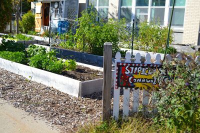 Sippican School Garden Club
Members of the Sippican School Garden Club have been busy this harvest season caring for their vegetables, herbs, and flowers after school. On September 23 it took ten enthusiastic little gardeners to pull up a ten-foot tall sunflower and carry it to “Weed Mountain.” After, the kids collected greens, grasses, and flowers to make an arrangement for the main office. Photo by Jean Perry
