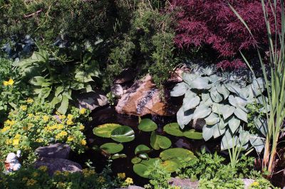 Mattapoisett Woman’s Club Garden Tour
The Mattapoisett Woman’s Club Garden Tour “Nature’s Treasures” held on June 30 was “Magnificent”, declared Ellen Flynn. Flynn said that the event brought in more than $6,000 - monies that are earmarked for their scholarship fund. She said visitors were awed by the gardens graciously opened for viewing from iconic harbor homes to those set in peaceful rural uplands along the Mattapoisett River Valley. To learn more about the Mattapoisett Woman’s Club visit www.mattapoisettwomansclub.org. Photos by Marilou Ne
