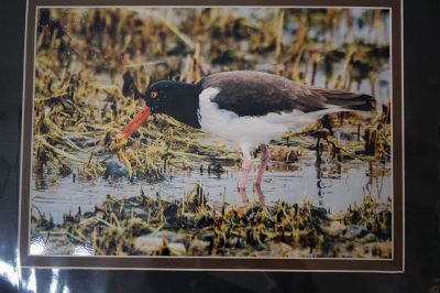 Richard Van Inwegen
Richard Van Inwegen’s stunning photography is on display at the Mattapoisett Free Public Library. Photos by Mick Colageo
