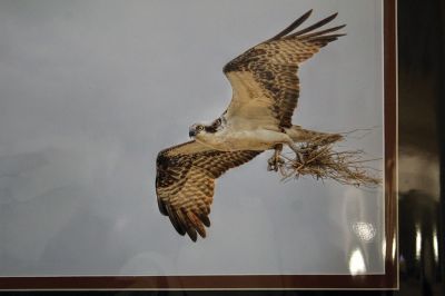 Richard Van Inwegen
Richard Van Inwegen’s stunning photography is on display at the Mattapoisett Free Public Library. Photos by Mick Colageo
