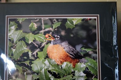 Richard Van Inwegen
Richard Van Inwegen’s stunning photography is on display at the Mattapoisett Free Public Library. Photos by Mick Colageo
