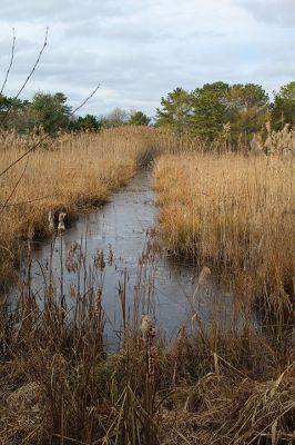 Goldovitz Bog
Sunday afternoon presented a golden opportunity to enjoy nature in the Tri-Towns, as seen in Marion near Goldovitz Bog and other Sippican Lands Trust properties. Photos by Mick Colageo. November 30, 2023 edition
