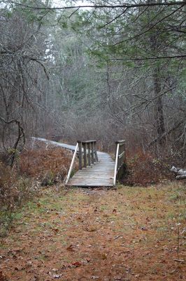 Sunday afternoon presented a golden opportunity to enjoy nature in the Tri-Towns, as seen in Marion near Goldovitz Bog and other Sippican Lands Trust properties. Photos by Mick Colageo
