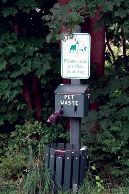 Dog's Beach
Amy Hardwick, a Mattapoisett resident, is petitioning to make Goodspeed Island the official dog beach in town. The town has been working to keep the dog waste bag dispenser full, after abutting neighbors have complained about trash and dog waste at Goodspeed. If the petition gets 100 signatures, Goodspeed could be made a dog beach at the next town meeting. Photo by Anne OBrien-Kakley.
