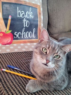 Gracie May
Gracie May is ready for first grade. Photo by Deb Perry
