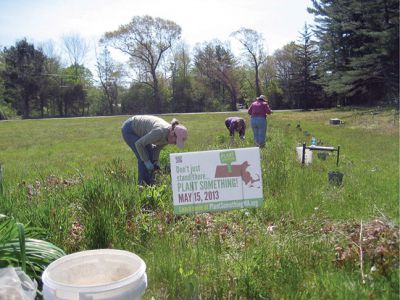 Rochester Green Ways 
On Wednesday, May15th the Rochester Green Ways Committee met to work on its Wildflower Garden in the center of town. Members cleaned up winter debris, weeded the beds that are filled with native and introduced plants that are called weeds by some and planted new seed for this and future years beauty. This is a necessary chore that was enhanced by the fact that it was held on the state and national Plant Something Day. 
