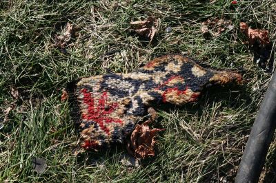 Historic Fire
Little pieces of burned Oriental rug were scattered like confetti in front of the house after the December 4 fire.
