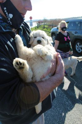 With her December 13 run from Island Wharf down to Silvershell Beach, Hannah Strom took a significant step in her long road to recovery from injuries sustained almost a year ago in a crash with the Holy Cross rowing team. At the end of her run, her father Tom surprised her with a puppy named Ruthie. Photo by Mick Colageo
