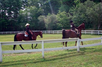 Horse Show
The annual Marion Horse Show was held on the morning of July 4, 2010. Riders of various ages performed at different levels, including lead line, walk trot and junior exhibition in the serene, wooded backdrop of Washburn Park. Photo by Laura Pedulli.
