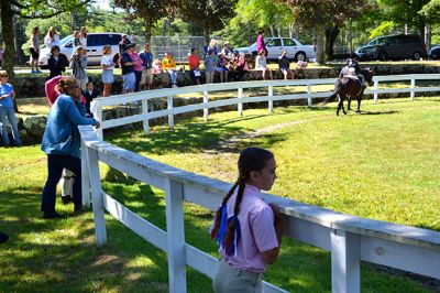 Marion Horse Show
There were sunny skies about Washburn Park on Saturday, July 5 for the Marion Horse Show. Although the postponement from Hurricane Arthur brought a significant decrease in participants, Show Committee member Deborah Martin was pleased with the turnout. By Jean Perry
