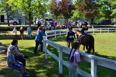 Marion Horse Show
There were sunny skies about Washburn Park on Saturday, July 5 for the Marion Horse Show. Although the postponement from Hurricane Arthur brought a significant decrease in participants, Show Committee member Deborah Martin was pleased with the turnout. By Jean Perry
