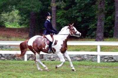 Marion Horse Show
On Wednesday, July 4, 2012, Tri-Town residents were invited to the 65th annual Marion Horse Show, an exhibition that features riders of all classes and age levels from around the region.  The friendly competition was held at Washburn Park, despite the rain, and saw about 50 entrants participating in 13 divisions.  Photo by Eric Tripoli. 
