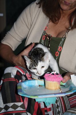 Cat Tails and Cocktails 
It’s All About the Animals last Thursday held an invitation-only cocktail party to celebrate the opening of its new addition and “catio” (cats + screened-in patio= catio). The addition was dedicated to contractor Matthew Sherman, who passed away before completion of the project. Rescue cats now enjoy more space and an outdoor catio while they pass the time before finding a forever home. Photos by Jean Perry
