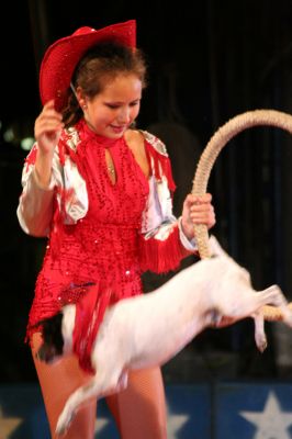 Circus Time
The Cole Brothers Circus made its annual visit to Rochester's Plumb Corner on Wednesday, June 24 and Thursday, June 25. The Circus, which featured highflying aerial acts, animal acts and plenty of clowns played four shows under the big top during its two-day stay. Proceeds from the circus will help to fund children's events throughout the year at Plumb Corner such as the Annual Easter egg hunt and the Halloween party. Photo by Robert Chiarito
