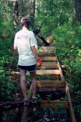 Eastover Trail
A boardwalk stretches through "Eastover South", a new Marion hiking trail that is being built by the Trustees of Reservation and a group of local volunteers. Photo by Robert Chiarito
