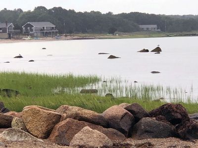 Scenic Mattapoisett
Photo by Jen Shepley
