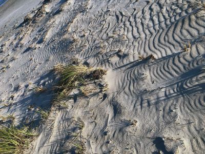 Sea Breeze
Photo by Jen Shepley
Keywords: Happenings