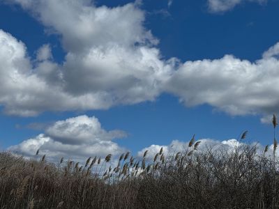 Mattapoisett
Photo by Jennifer Shepley
