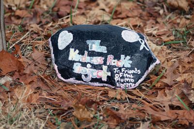 Kindness Rocks
Inspired by The Kindness Rocks Project, the Junior Friends of the Plumb Library have hidden brightly decorated stones along the paths at Church Wildlife Conservation Area in Rochester to serve as small messages of kindness to the passerby. Photos by Jean Perry
