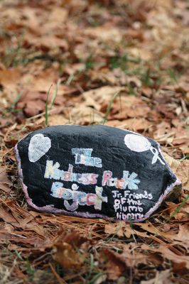 Kindness Rocks
Inspired by The Kindness Rocks Project, the Junior Friends of the Plumb Library have hidden brightly decorated stones along the paths at Church Wildlife Conservation Area in Rochester to serve as small messages of kindness to the passerby. Photos by Jean Perry
