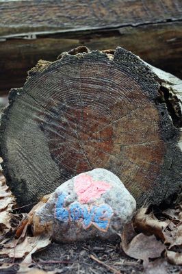 Kindness Rocks
Inspired by The Kindness Rocks Project, the Junior Friends of the Plumb Library have hidden brightly decorated stones along the paths at Church Wildlife Conservation Area in Rochester to serve as small messages of kindness to the passerby. Photos by Jean Perry
