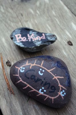 Kindness Rocks
Inspired by The Kindness Rocks Project, the Junior Friends of the Plumb Library have hidden brightly decorated stones along the paths at Church Wildlife Conservation Area in Rochester to serve as small messages of kindness to the passerby. Photos by Jean Perry
