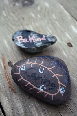 Kindness Rocks
Inspired by The Kindness Rocks Project, the Junior Friends of the Plumb Library have hidden brightly decorated stones along the paths at Church Wildlife Conservation Area in Rochester to serve as small messages of kindness to the passerby. Photos by Jean Perry
