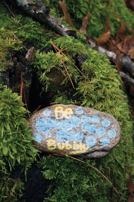 Kindness Rocks
Inspired by The Kindness Rocks Project, the Junior Friends of the Plumb Library have hidden brightly decorated stones along the paths at Church Wildlife Conservation Area in Rochester to serve as small messages of kindness to the passerby. Photos by Jean Perry
