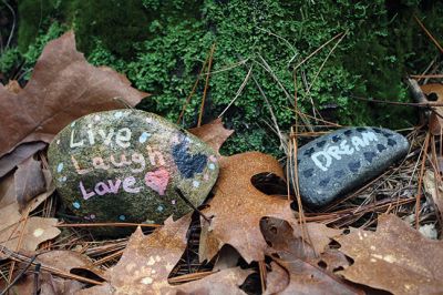 Kindness Rocks
Inspired by The Kindness Rocks Project, the Junior Friends of the Plumb Library have hidden brightly decorated stones along the paths at Church Wildlife Conservation Area in Rochester to serve as small messages of kindness to the passerby. Photos by Jean Perry
