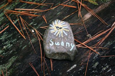 Kindness Rocks
Inspired by The Kindness Rocks Project, the Junior Friends of the Plumb Library have hidden brightly decorated stones along the paths at Church Wildlife Conservation Area in Rochester to serve as small messages of kindness to the passerby. Photos by Jean Perry
