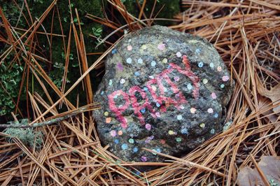 Kindness Rocks
Inspired by The Kindness Rocks Project, the Junior Friends of the Plumb Library have hidden brightly decorated stones along the paths at Church Wildlife Conservation Area in Rochester to serve as small messages of kindness to the passerby. Photos by Jean Perry
