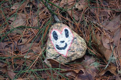 Kindness Rocks
Inspired by The Kindness Rocks Project, the Junior Friends of the Plumb Library have hidden brightly decorated stones along the paths at Church Wildlife Conservation Area in Rochester to serve as small messages of kindness to the passerby. Photos by Jean Perry
