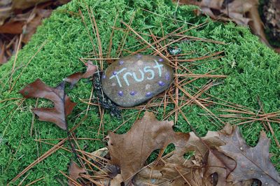 Kindness Rocks
Inspired by The Kindness Rocks Project, the Junior Friends of the Plumb Library have hidden brightly decorated stones along the paths at Church Wildlife Conservation Area in Rochester to serve as small messages of kindness to the passerby. Photos by Jean Perry
