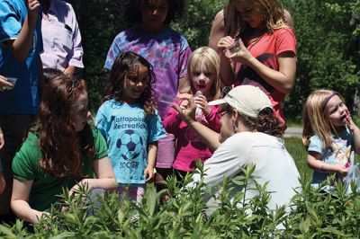 Lost Ladybug Project
Guided by Loree Griffin Burns, children headed out on May 30 from Plumb Library to search for ladybugs to photograph and document for the Lost Ladybug Project. In all, the kids found five ladybugs. The event was funded by a MOBY grant and organized by the RMS PTOs, the RLT, Kathy Gauvin at ORR, and the three town Cultural Councils. Photos submitted by Michelle Cusolito
