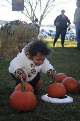 Family Fun Festival 
The 3rd annual Family Fun Festival sponsored by the Mattapoisett Lions treated families to a day of fall time fun on November 4 with games like pumpkin bowling, pin the nose on the pumpkin, and corn hole, along with free hayrides throughout the village. Photos by Jean Perry
