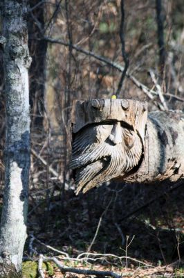 Log Man
A fallen tree marks the spot off Brandt Island Road, where someone has sculpted the scrap wood into a woodland sprite, which overlooks a babbling brook. Photo by Anne OBrien-Kakley.
