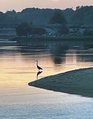 Mattapoisett Landing
Lynn Nonya shared this photo of the sunset taken on July 25 at the Mattapoisett Landing.
