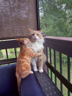 New Friends
New friends during the storm in Marion. Photo by Lynn Lake
