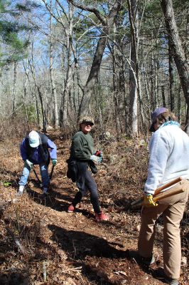 Mattapoisett Land Trust
Tabor Academy students and faculty volunteered to help clear a walking path on a 14-acre property bought last year by the Mattapoisett Land Trust. Photos by Mick Colageo
