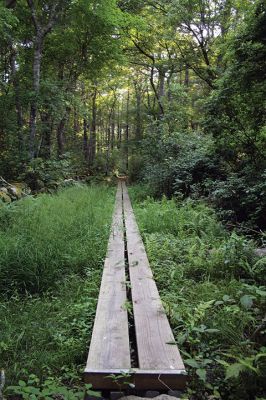 Mattapoisett Land Trust
The 12 preserves in the Mattapoisett Land Trust’s 397-acre Old Aucoot District include the 35-acre Holmes Preserve. Named after the Justice Oliver Wendell Holmes Jr., the preserve includes multiple trails spanning from Angelica Avenue out to Route 6 and in between a vernal pool that has served as an off-campus classroom for local students. Photos by Mick Colageo
